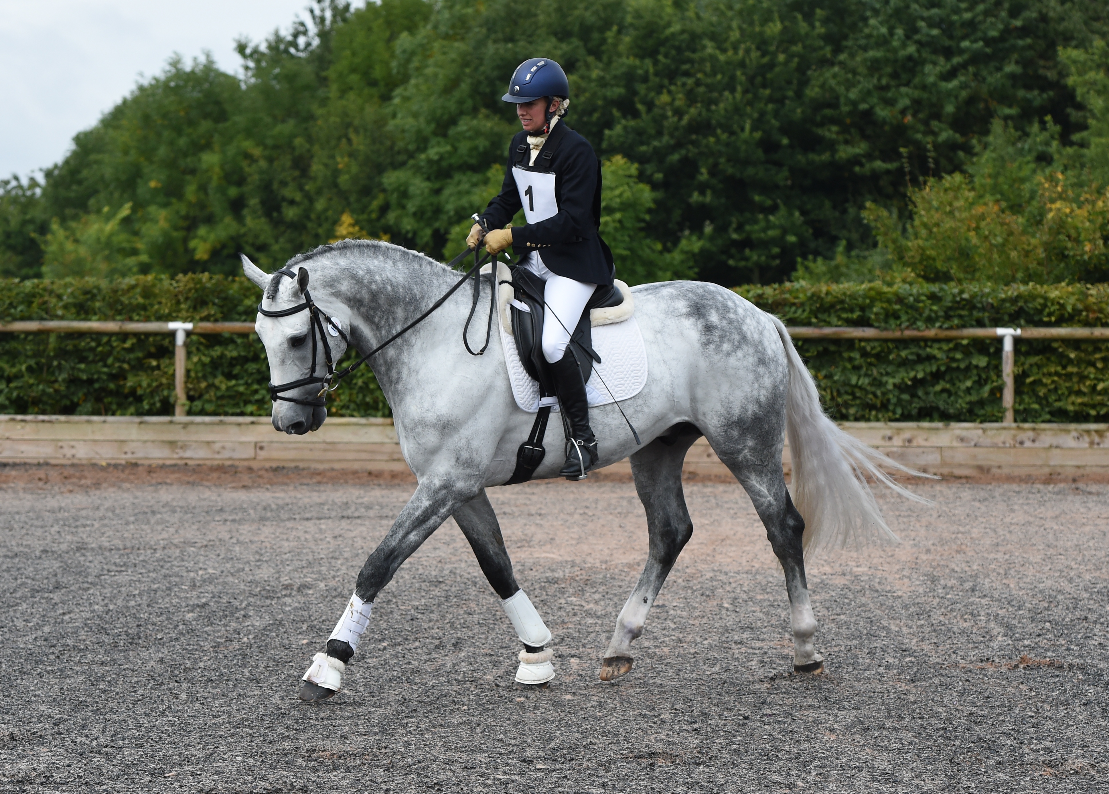Sports Horse Breeding Of Great Britain sports-horse-breeding-of-great-britain